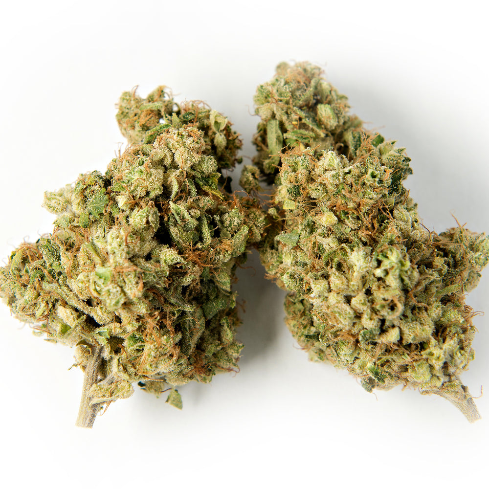 QUADRA (HEADBAND)